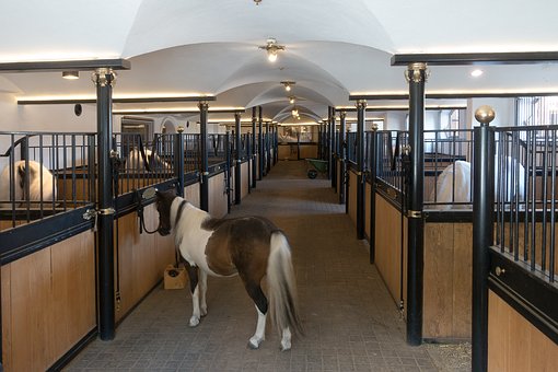 Commercial Stables